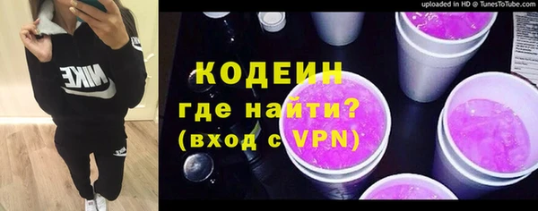 mix Инта
