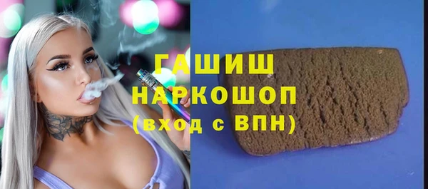 mix Инта
