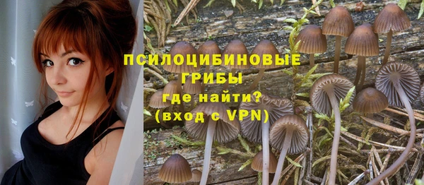 гашик Иннополис