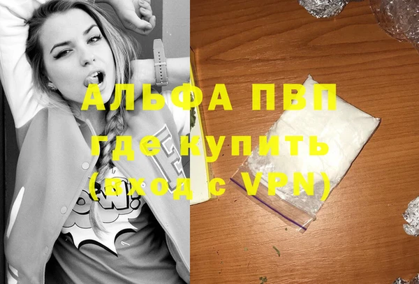 гашик Иннополис