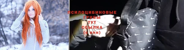 mix Инта