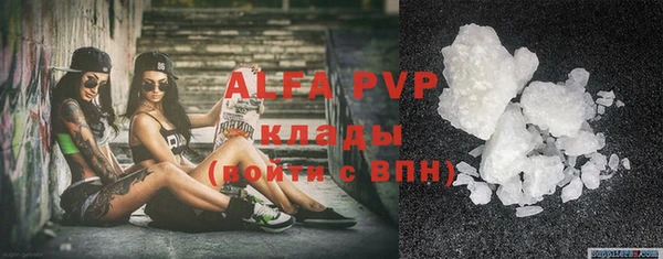 mix Инта