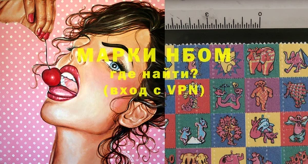 mix Инта
