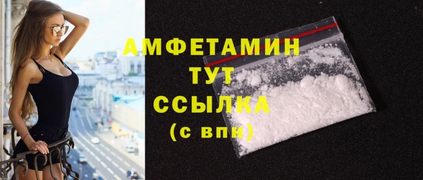 mix Инта