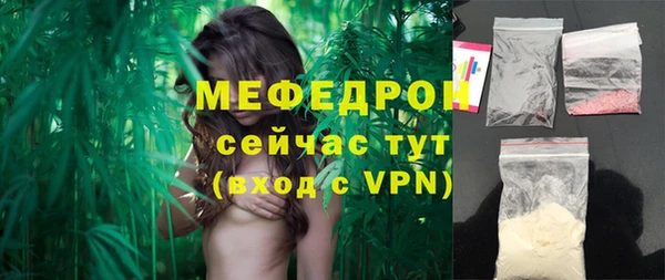 mix Инта