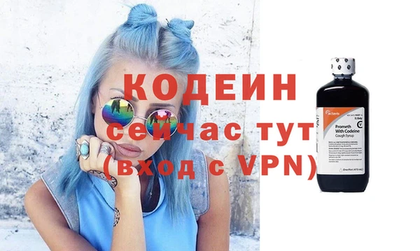 mix Инта