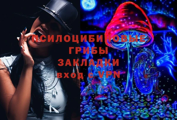 гашик Иннополис