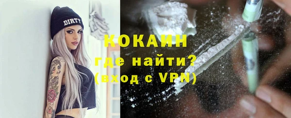 mix Инта