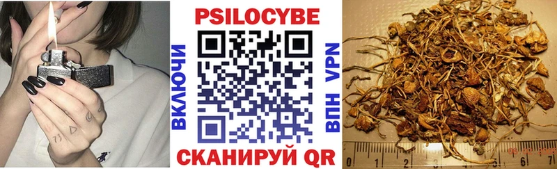 Купить где  Заозёрный  Псилоцибиновые грибы мицелий 